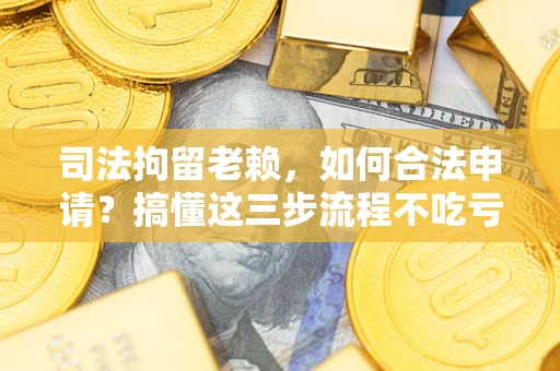 济南司法拘留老赖，如何合法申请？搞懂这三步流程不吃亏！