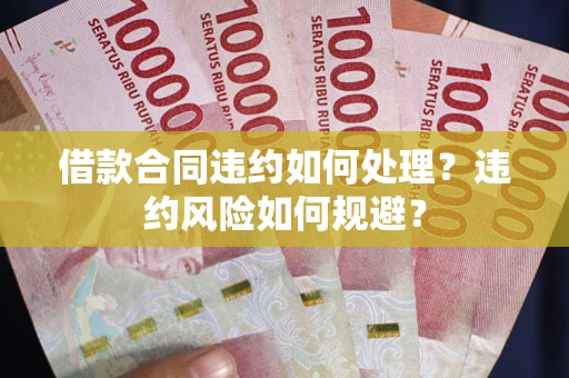 济南借款合同违约如何处理？违约风险如何规避？