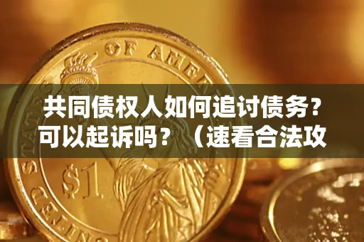 济南共同债权人如何追讨债务？可以起诉吗？（速看合法攻略）