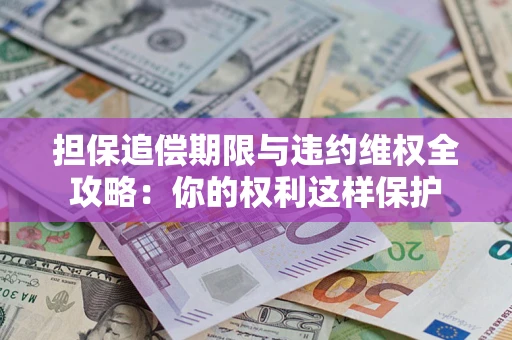 济南担保追偿期限与违约维权全攻略：你的权利这样保护